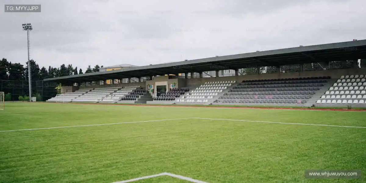 🏆点燃热血，每一秒都是冠军时刻！